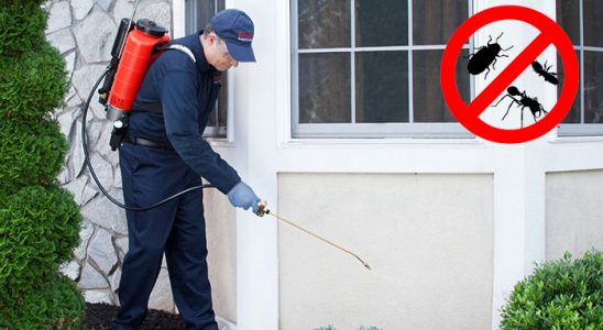 Eyyübiye Bit İlaçlama böcek ilaçlama ve haşere kontrolü — ilaclama-tr.com